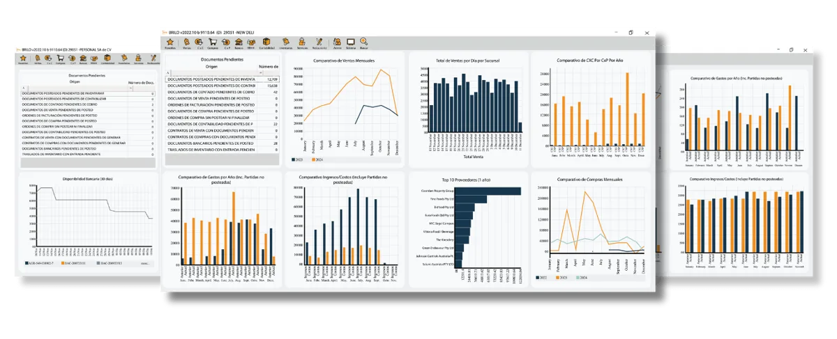 BRILO ERP - El mejor software ERP en El Salvador
